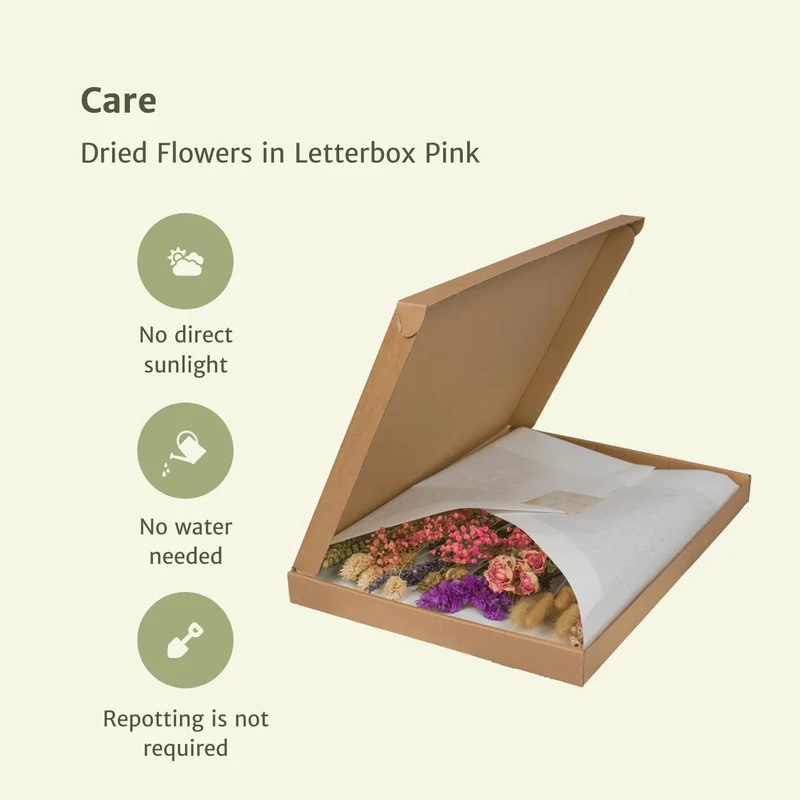 Dried flowers in Letterbox Pink - Dried bouquet - 35cm - Ø10
