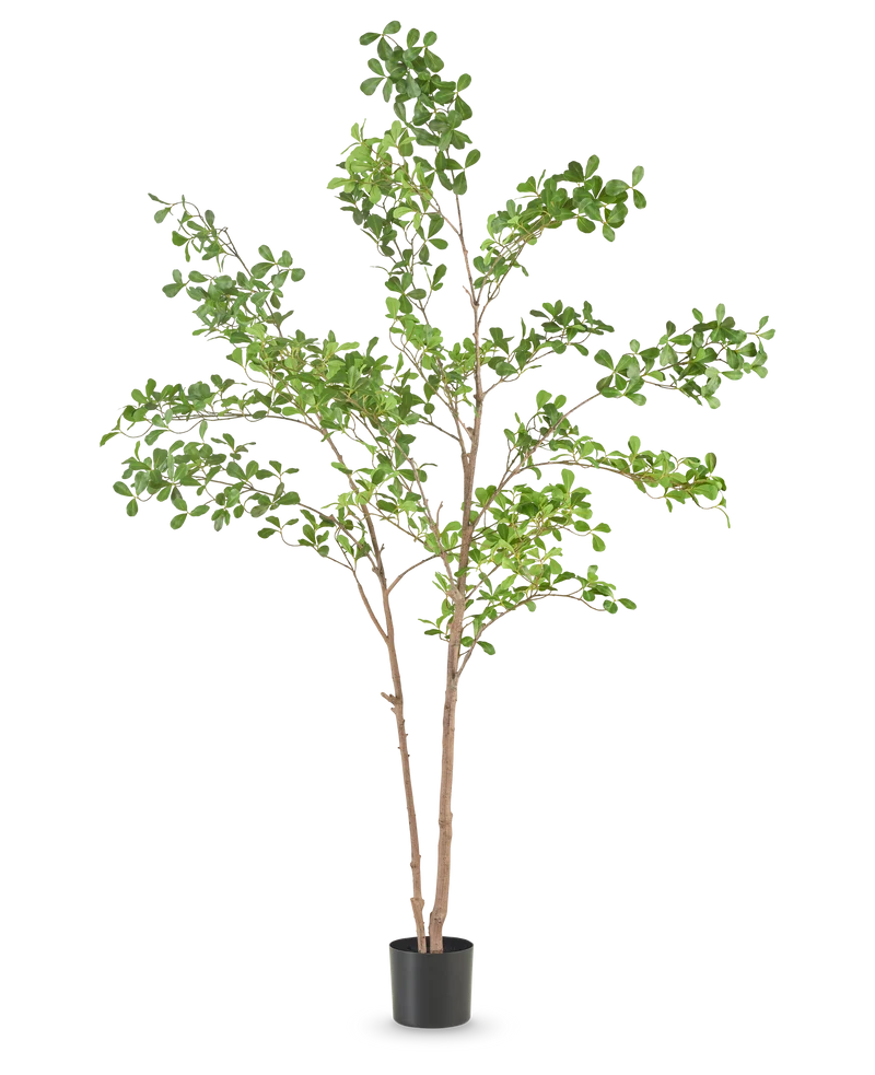 Kunstplant Terminalia Catappa 150 cm