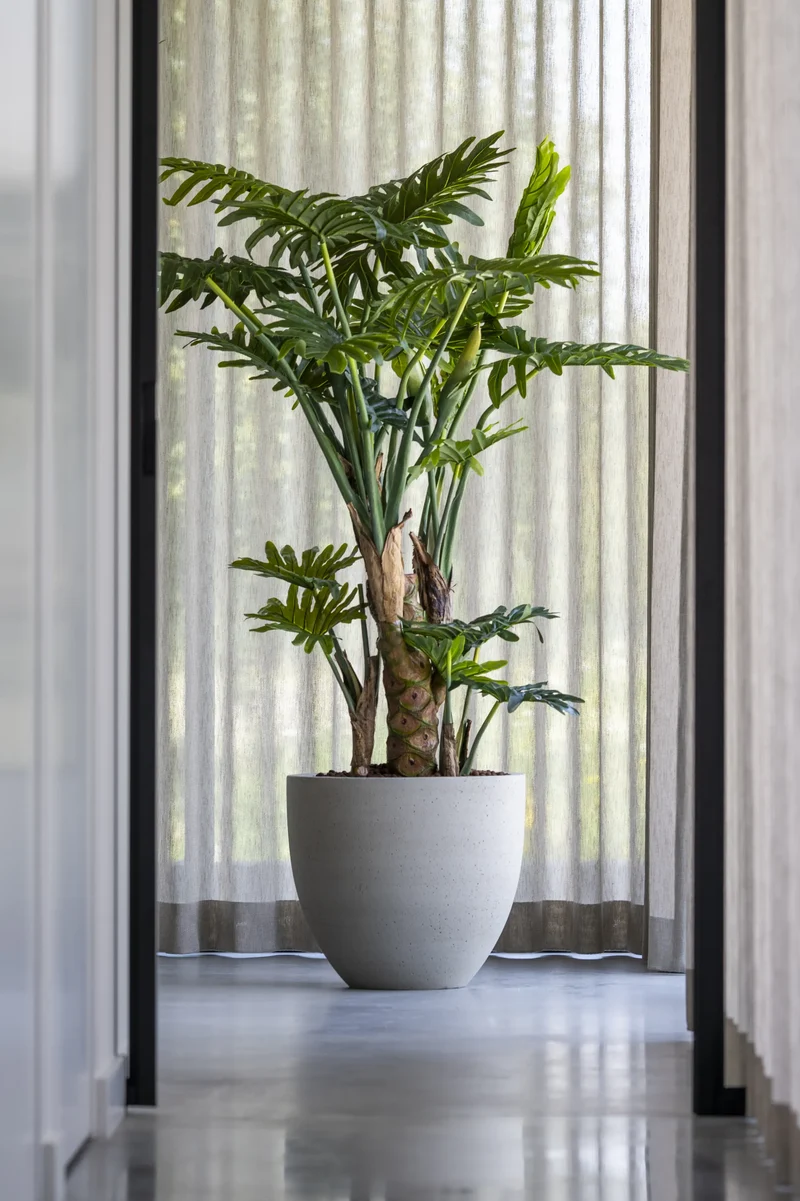 Philodendron künstlich, H: 160cm