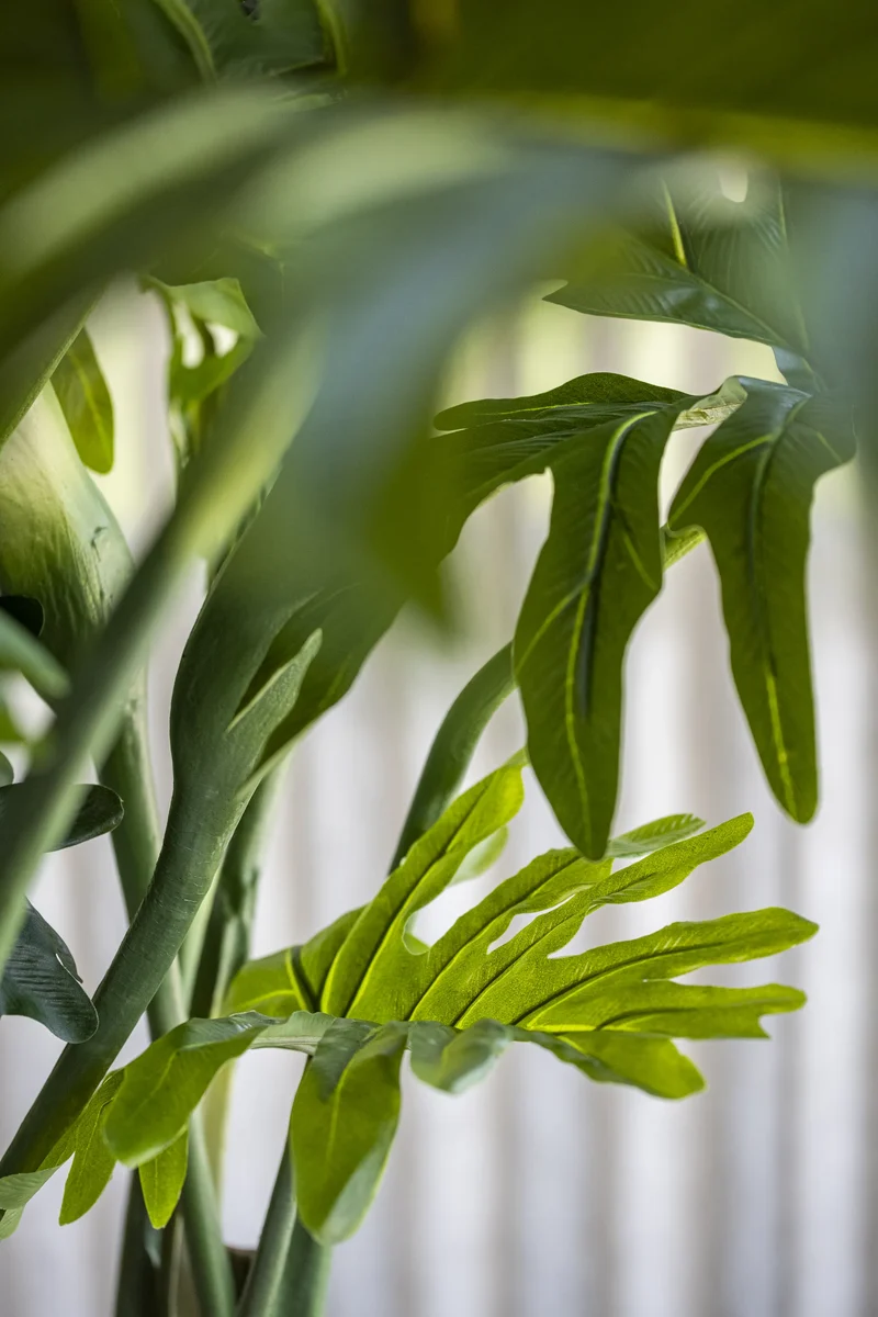 Philodendron künstlich, H: 160cm