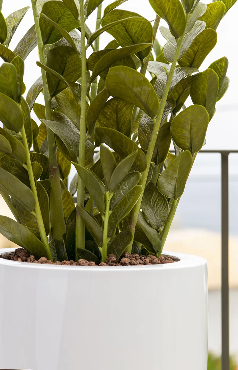 Zamioculcas künstlich, H: 90cm