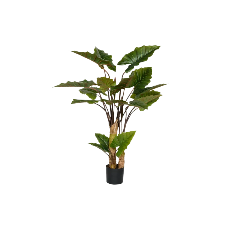 Alocasia künstlich, H: 160cm