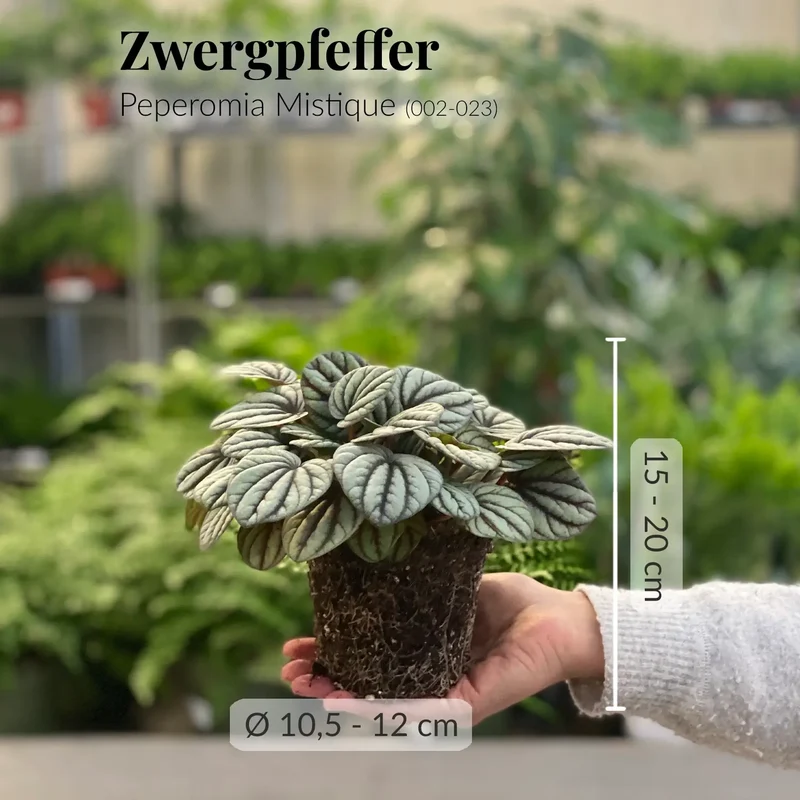 Einfach Tierlieb