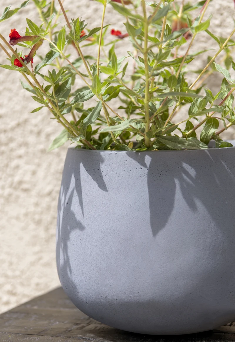 Übertopf Mini Pax Grau aus Fiberstone