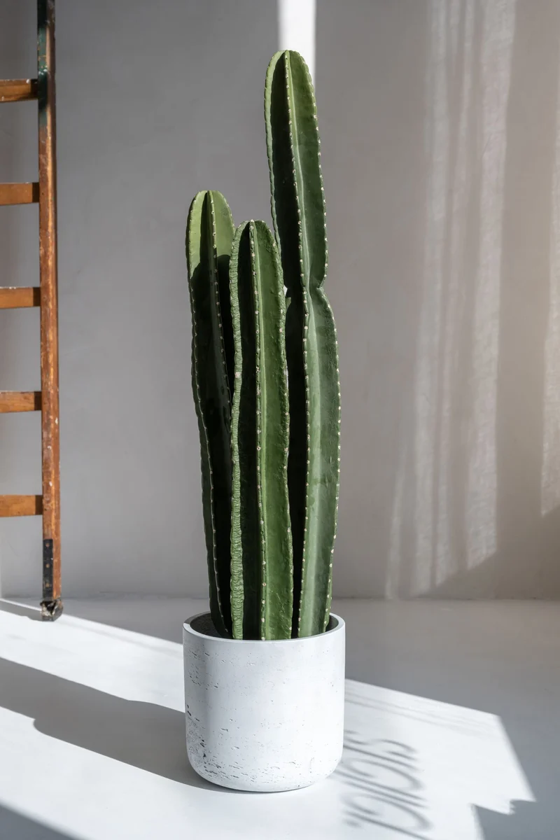 Kaktus San Pedro künstlich, H: 100cm