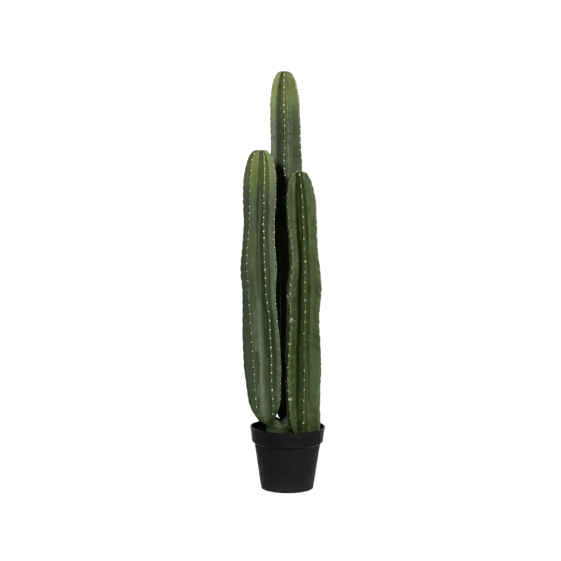 Kaktus San Pedro künstlich, H: 100cm