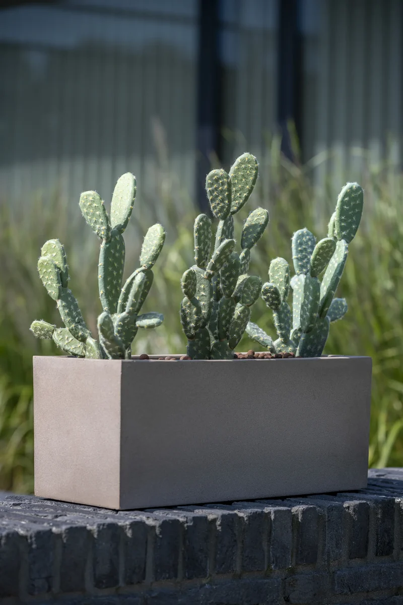 Kaktus Opuntia künstlich, H: 41cm