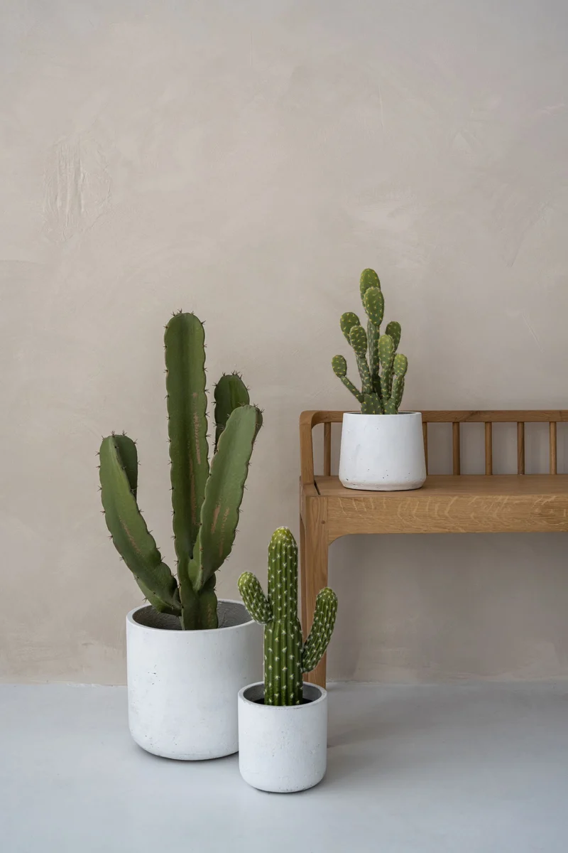 Kaktus Opuntia künstlich, H: 41cm