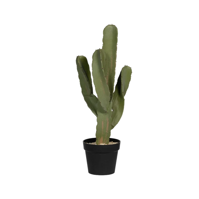 Kaktus Cereus künstlich, H: 55cm