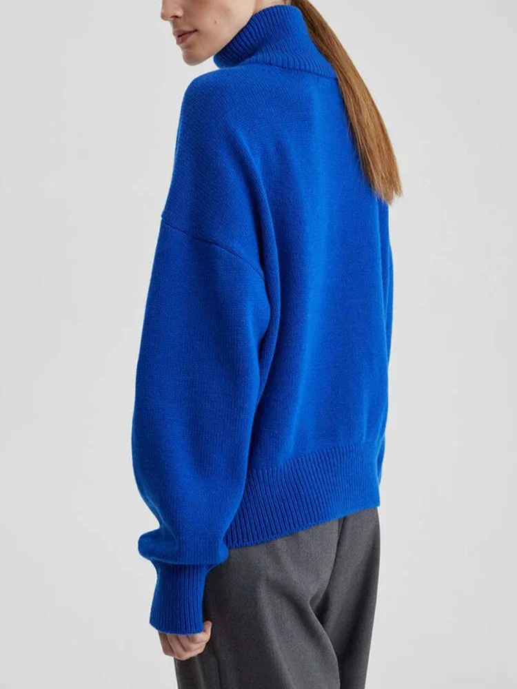 Pullover mit Reißverschluss | La Parisienne