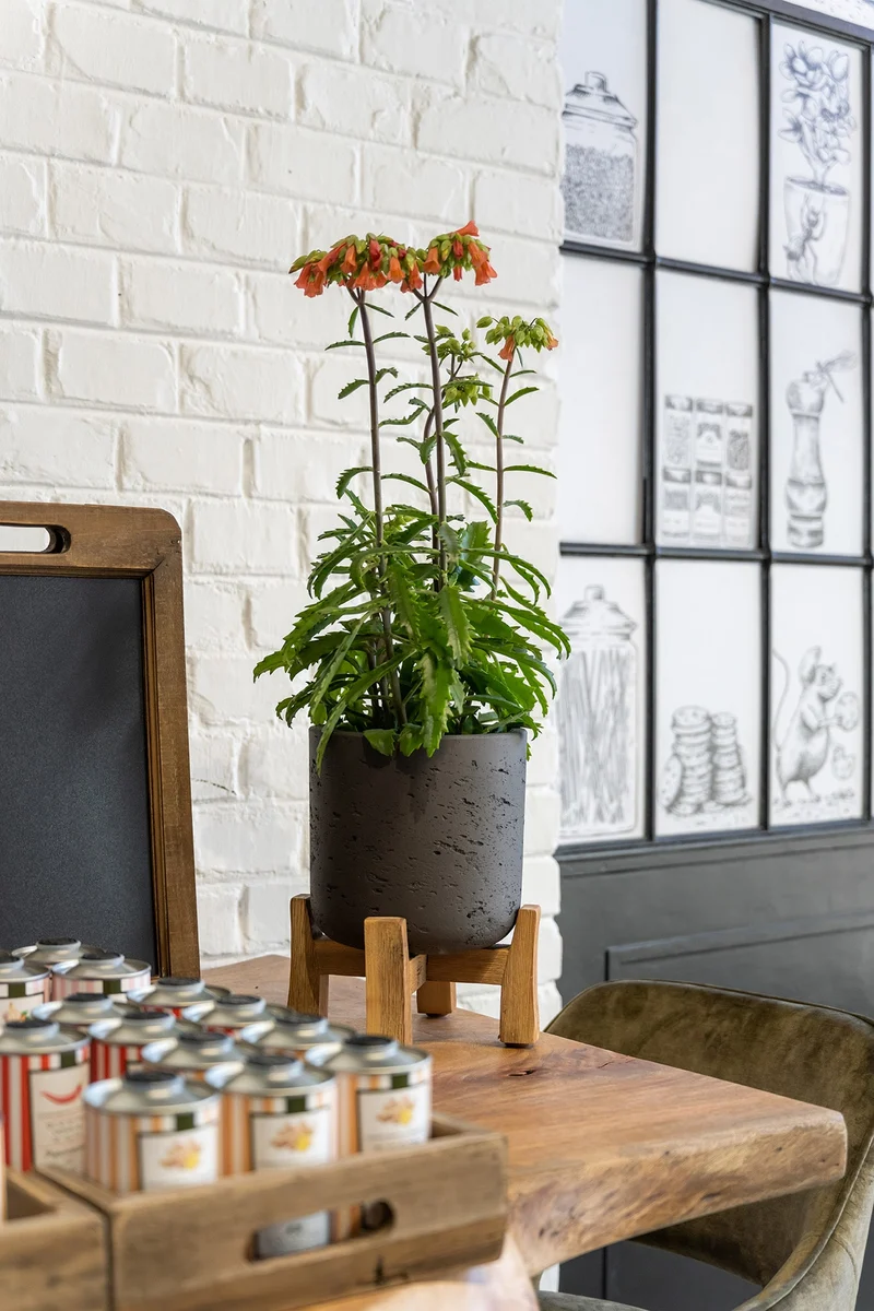 Blumentopf Charlie Schwarz aus Ton, mit niedrigen Füßen