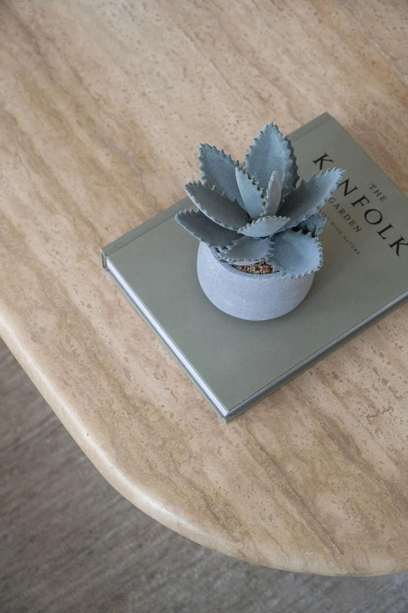 Echeveria künstlich im Zementtopf