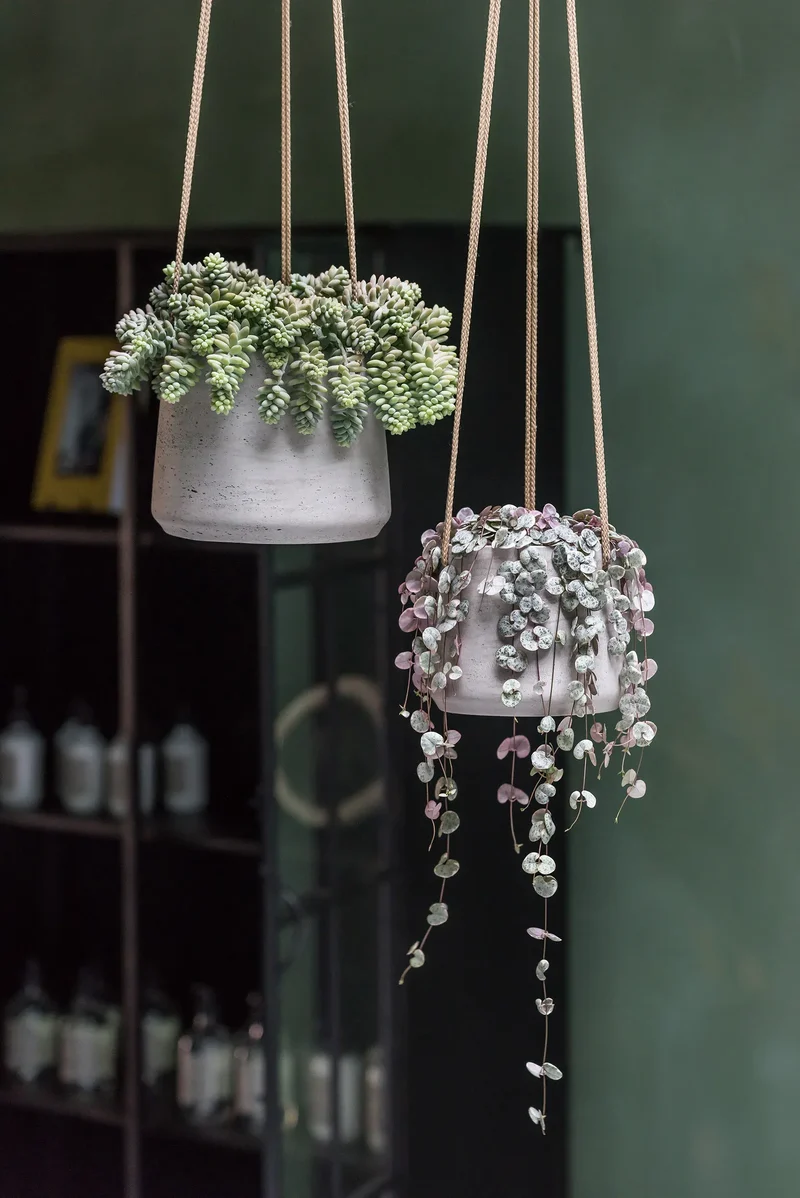 Blumenampel Patt Grau, 2er-Set aus glasfaserverstärktem Ton