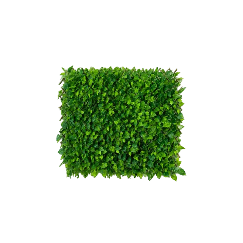Flexible Pothos Pflanzenwand - Melvin | 130-200 cm