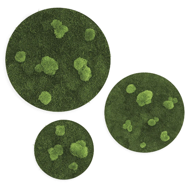 Moosbild ELLIPSOID Flach- und Ballenmoos 3er Set