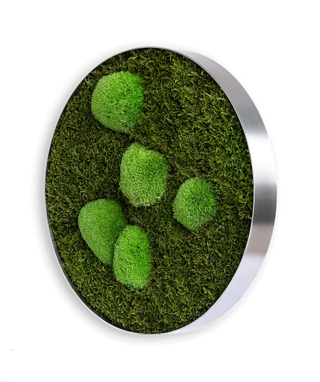 Moosbild ELLIPSOID Wald- und Ballenmoos