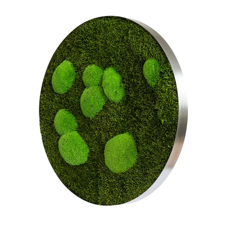 Moosbild ELLIPSOID Wald- und Ballenmoos