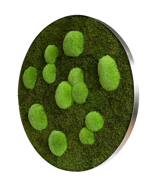 Moosbild ELLIPSOID Wald- und Ballenmoos