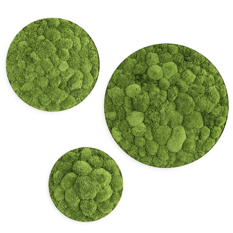 Moosbild ELLIPSOID Ballenmoos 3er Set