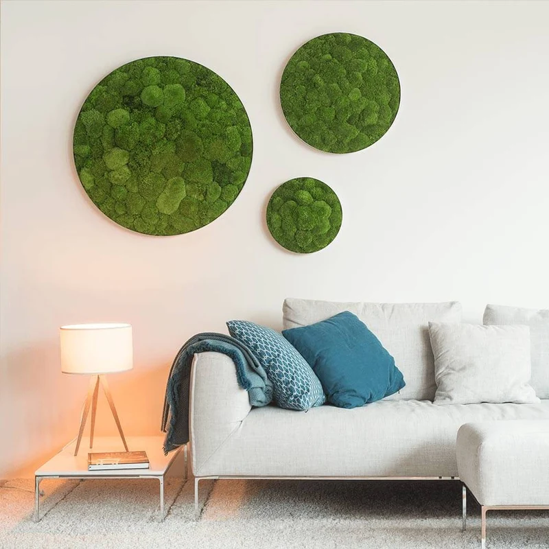 Moosbild ELLIPSOID Ballenmoos