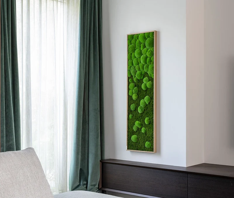 Moosbild Verlauf Wald- und Ballenmoos 140x40 cm
