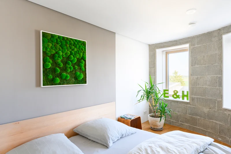 Moosbild Verlauf Wald- und Ballenmoos 80x80 cm