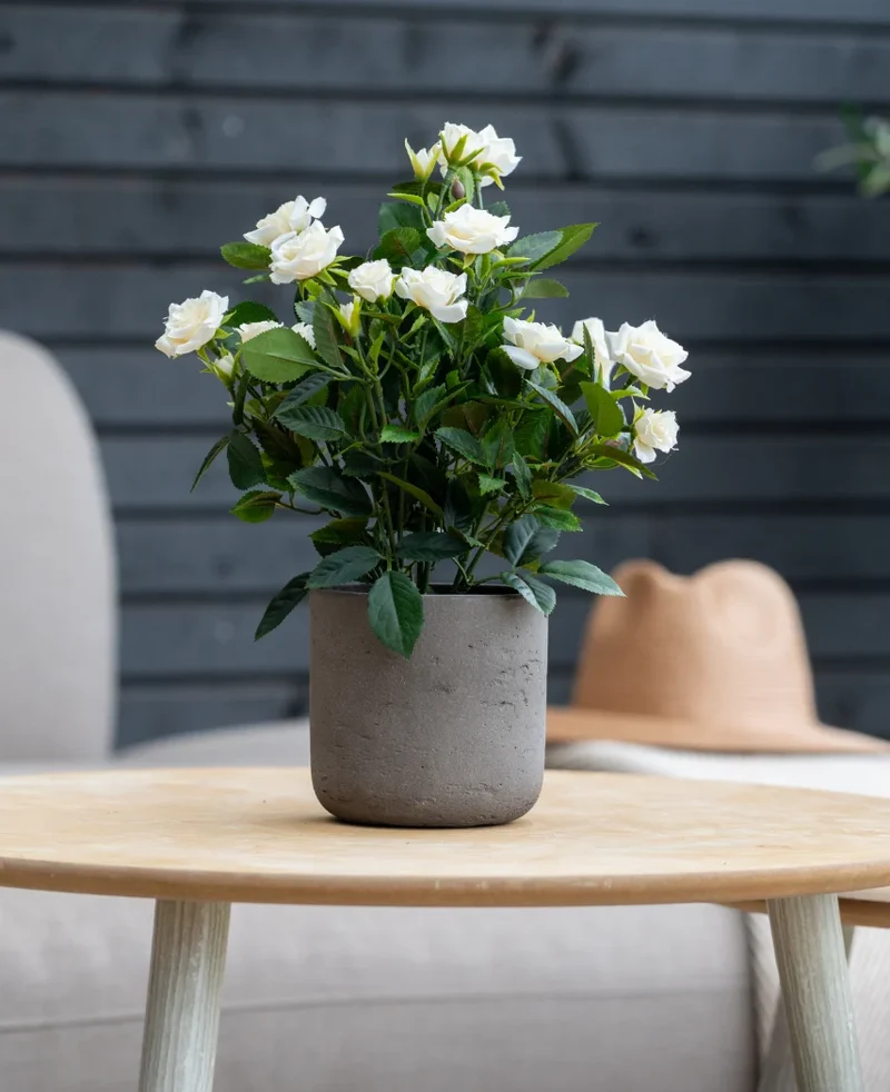 Kunstplant Patio-roos 35 cm crème UV