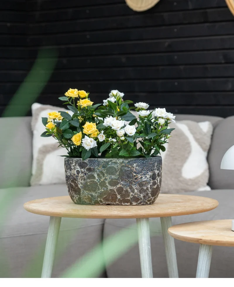 Kunstplant Patio-roos 35 cm crème UV