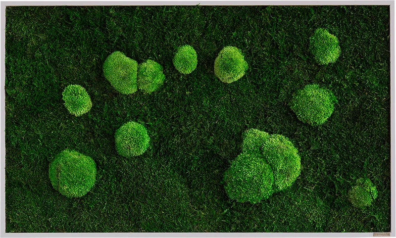 Moosbild Wald- und Ballenmoos 100x60 cm