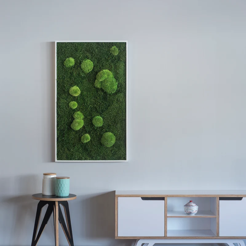 Moosbild Wald- und Ballenmoos 100x60 cm