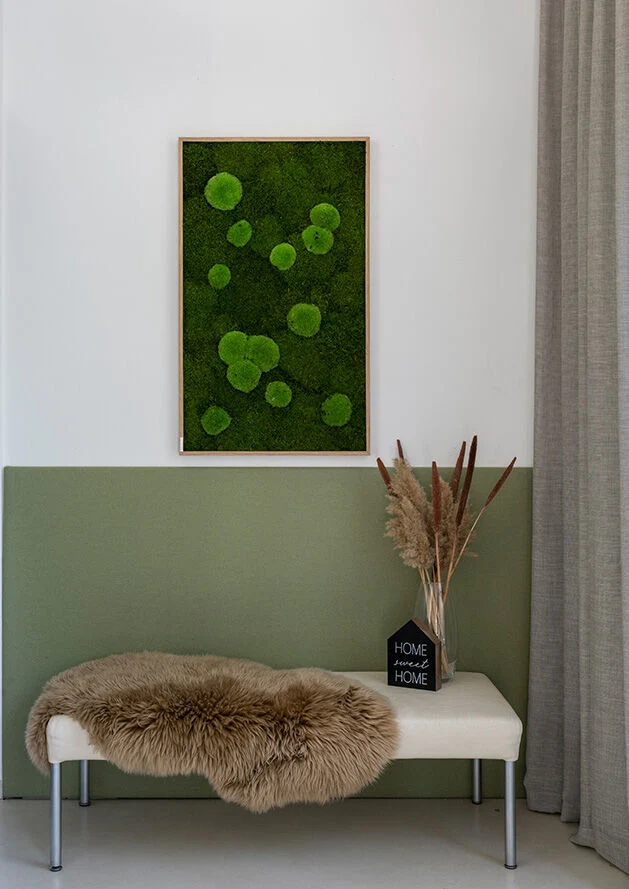Moosbild Wald- und Ballenmoos 100x60 cm