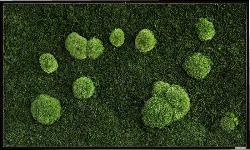Moosbild Wald- und Ballenmoos 100x60 cm