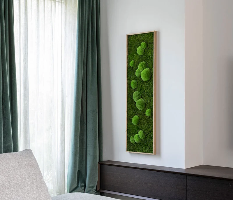 Moosbild Wald- und Ballenmoos 140x40 cm