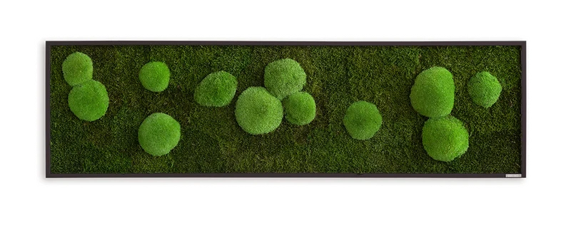 Moosbild Wald- und Ballenmoos 140x40 cm
