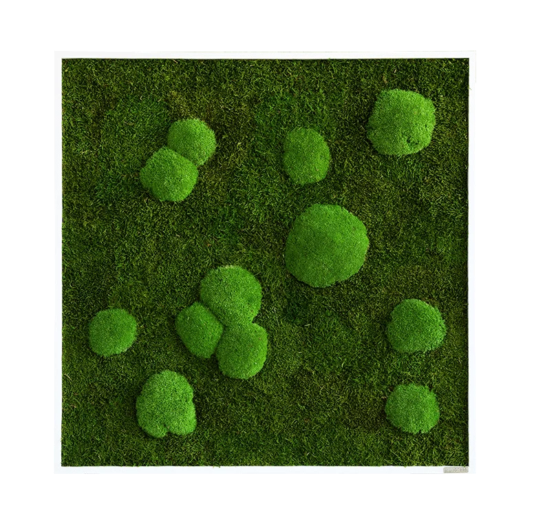 Moosbild Wald- und Ballenmoos 80x80 cm
