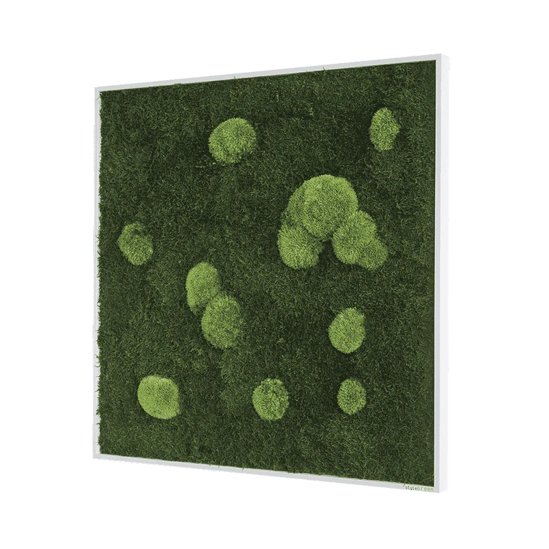 Moosbild Wald- und Ballenmoos 80x80 cm