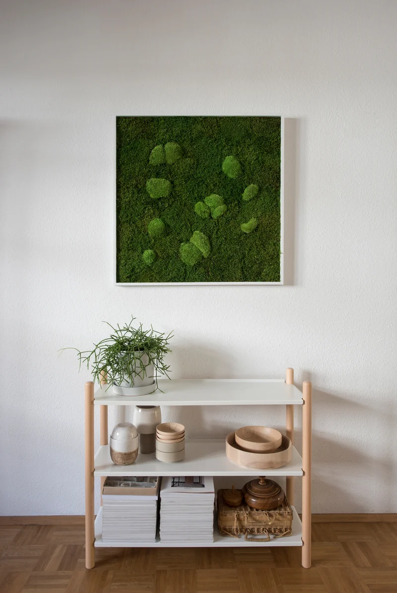 Moosbild Wald- und Ballenmoos 80x80 cm