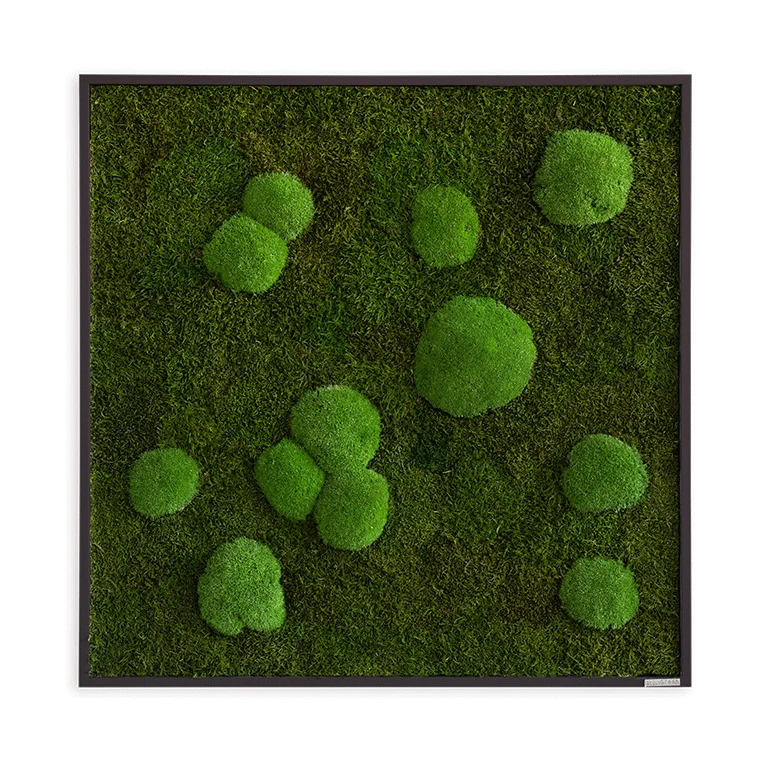 Moosbild Wald- und Ballenmoos 80x80 cm