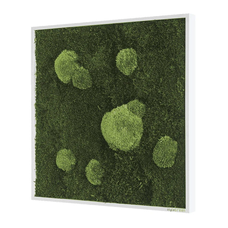 Moosbild Wald- und Ballenmoos 55x55 cm