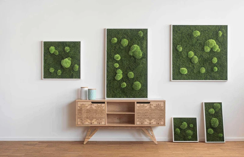 Moosbild Wald- und Ballenmoos 55x55 cm
