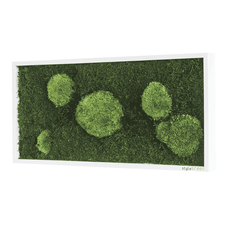 Moosbild Wald- und Ballenmoos 57x27 cm