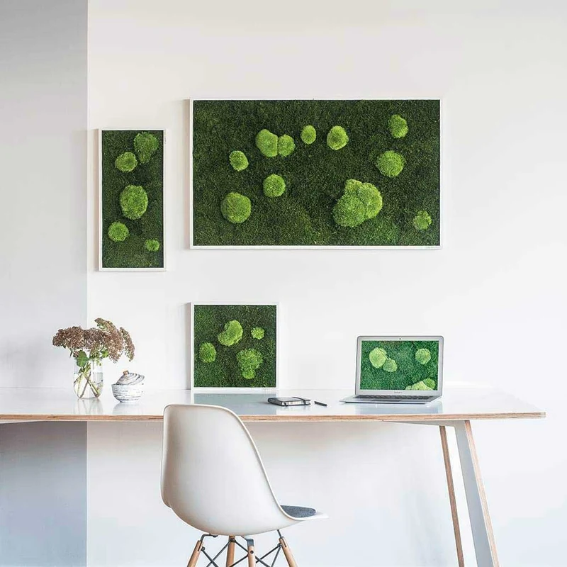 Moosbild Wald- und Ballenmoos 57x27 cm