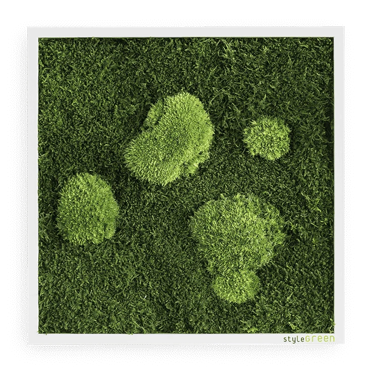 Moosbild Wald- und Ballenmoos 35x35 cm