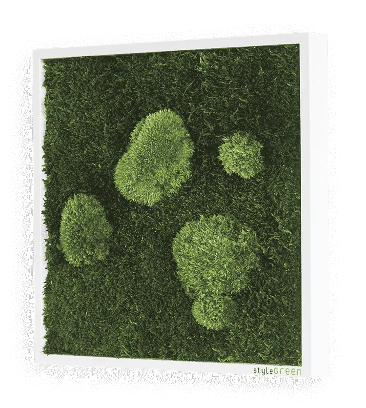 Moosbild Wald- und Ballenmoos 35x35 cm