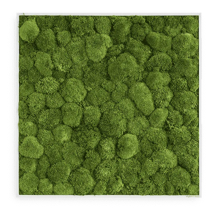 Moosbild Ballenmoos 80x80 cm