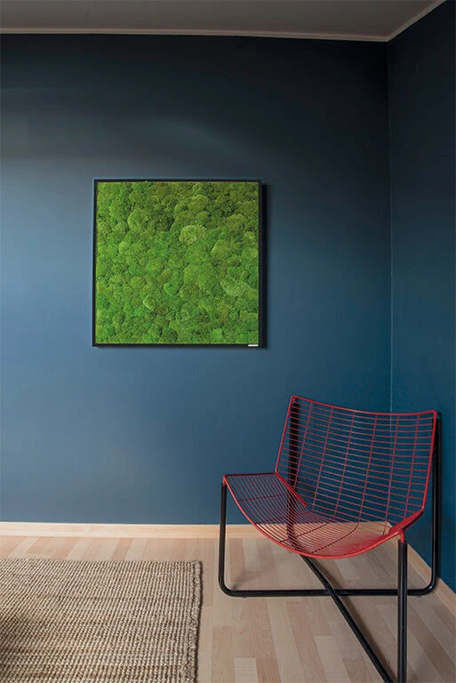 Moosbild Ballenmoos 80x80 cm