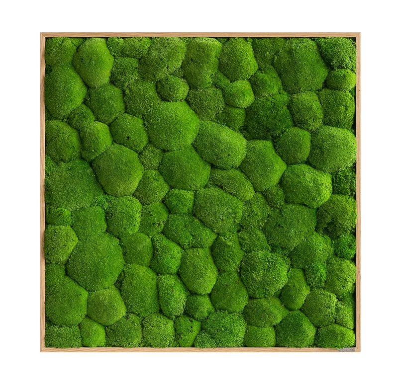 Moosbild Ballenmoos 80x80 cm