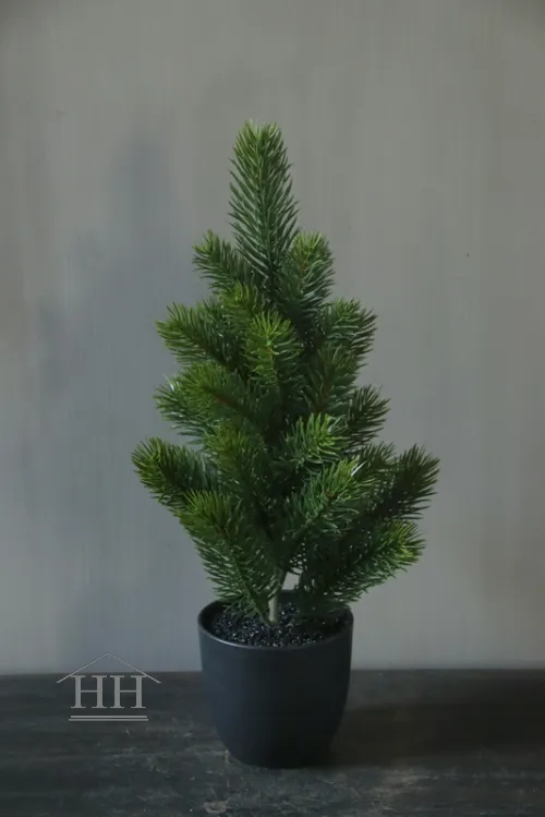 Kunst spar in binnenpot 38 cm