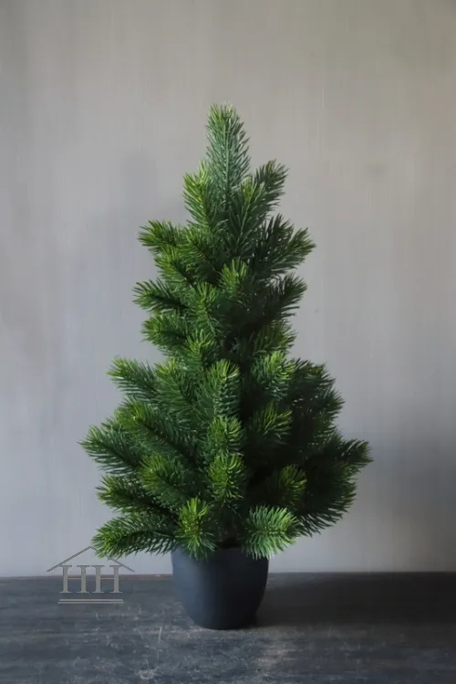 Kunst spar in binnenpot 50 cm
