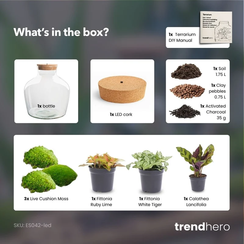 Fat Joe Red - Terrarium with light - Bottle garden DIY kit - Ø 29 cm ↑ 30 cm